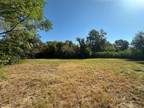 0000 Oak Avenue - Photo 7