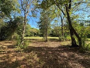 0000 Oak Avenue - Photo 9