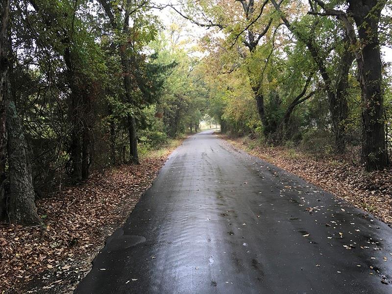 Rains County Rd #3150 - Photo 1