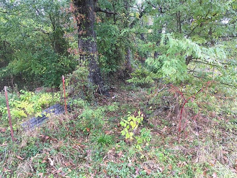 Rains County Rd #3150 - Photo 14