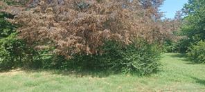 608 S Baugh Street - Photo 2