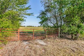 10812 County Road 1020 - Photo 2