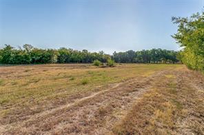 10812 County Road 1020 - Photo 5