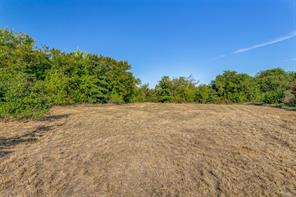 10812 County Road 1020 - Photo 6