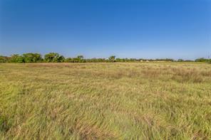 10812 County Road 1020 - Photo 8