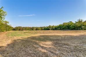 10812 County Road 1020 - Photo 9