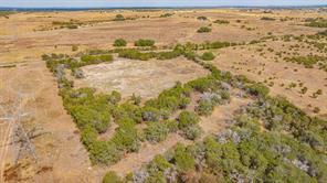 TBD County Road 184 - Photo 10