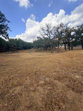 153 Catfish Trail - Photo 10