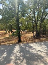 153 Catfish Trail - Photo 3