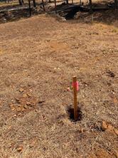 153 Catfish Trail - Photo 4