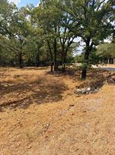 153 Catfish Trail - Photo 5
