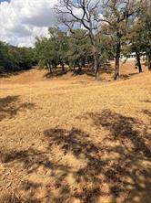 153 Catfish Trail - Photo 7