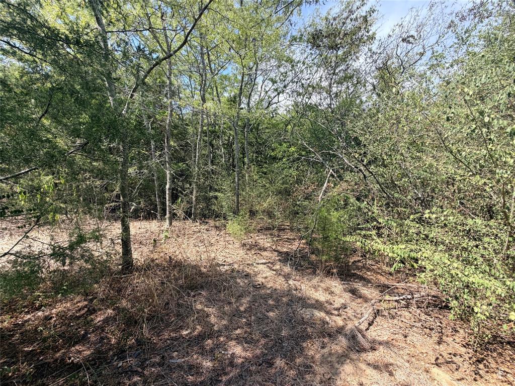 TBD CR 3824 - Photo 3