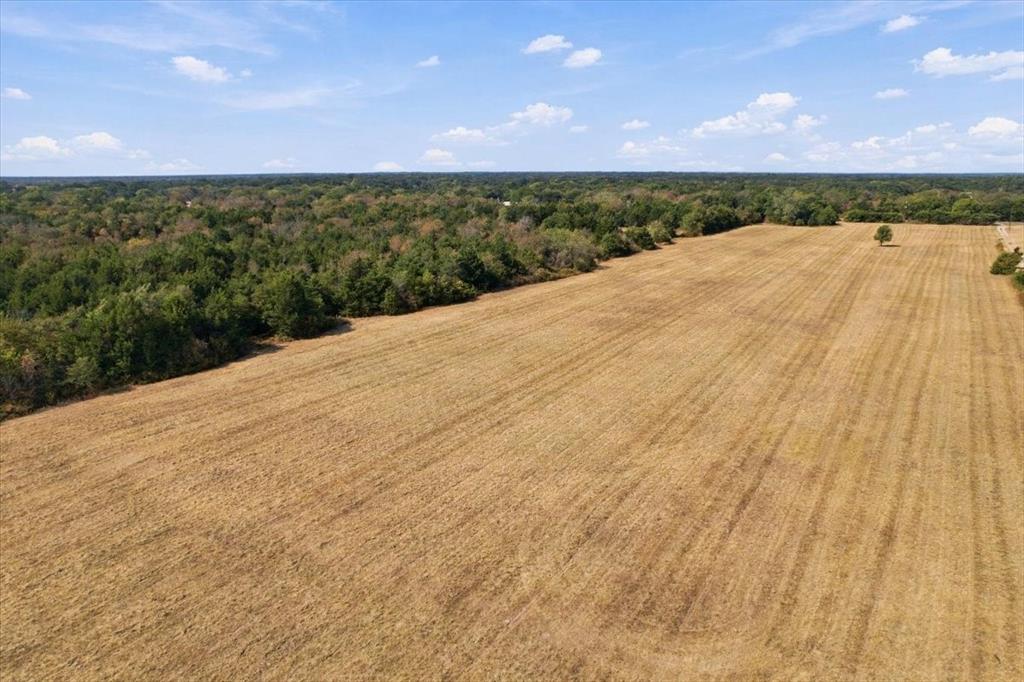 YBD Farm Road 273 - Photo 1