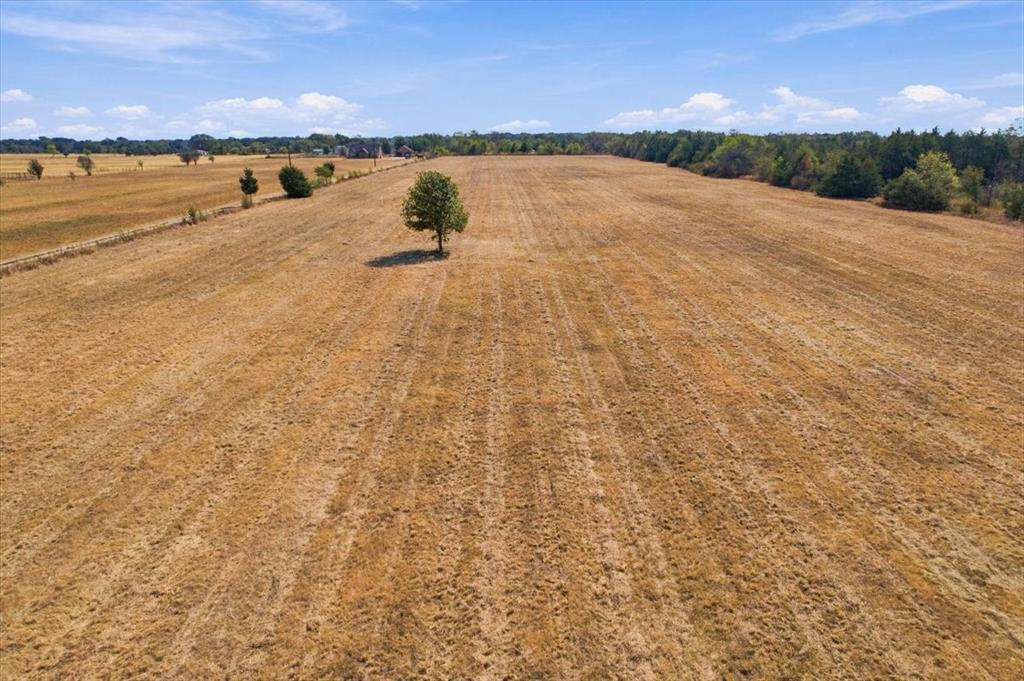 YBD Farm Road 273 - Photo 10