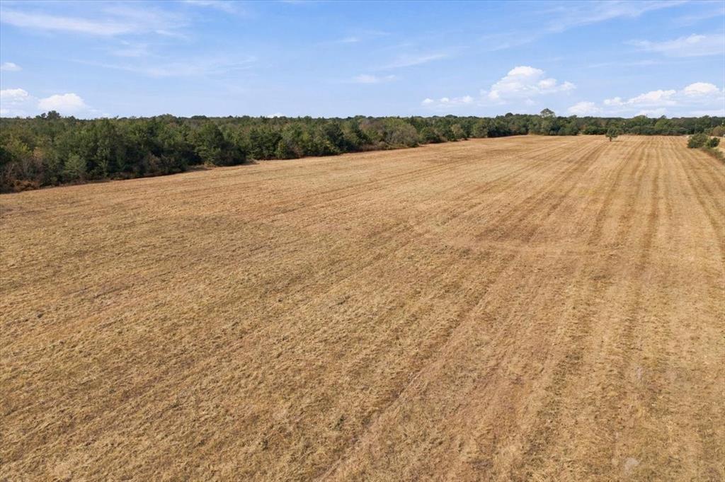YBD Farm Road 273 - Photo 12