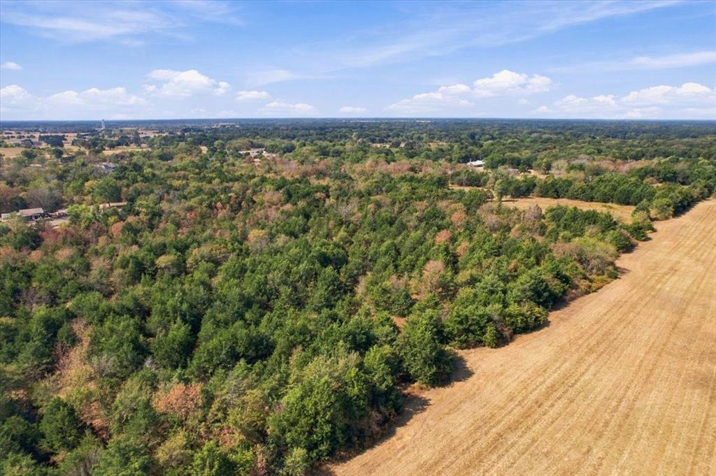 YBD Farm Road 273 - Photo 13