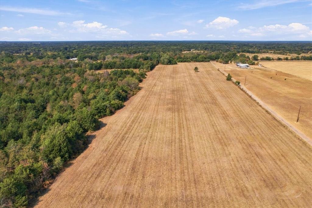 YBD Farm Road 273 - Photo 14