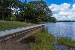 17158 CR 285 - Photo 15