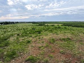 173 Porcupine Trail - Photo 2