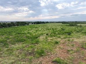 161 Porcupine Trail - Photo 2