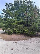 1885 NW CR 2162 - Photo 10