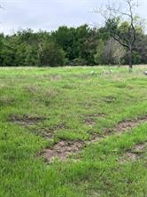 1885 NW CR 2162 - Photo 13