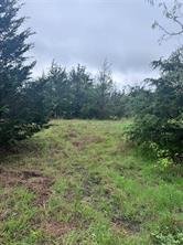 1885 NW CR 2162 - Photo 14