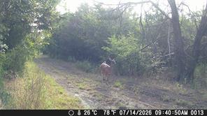 1885 NW CR 2162 - Photo 21