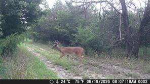 1885 NW CR 2162 - Photo 22