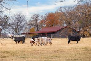 355 County Road 144 - Photo 19
