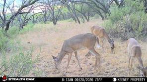 355 County Road 144 - Photo 32