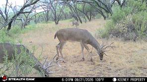 355 County Road 144 - Photo 33