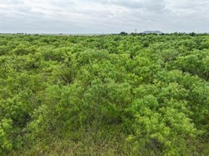 188 Badger Den - Photo 6