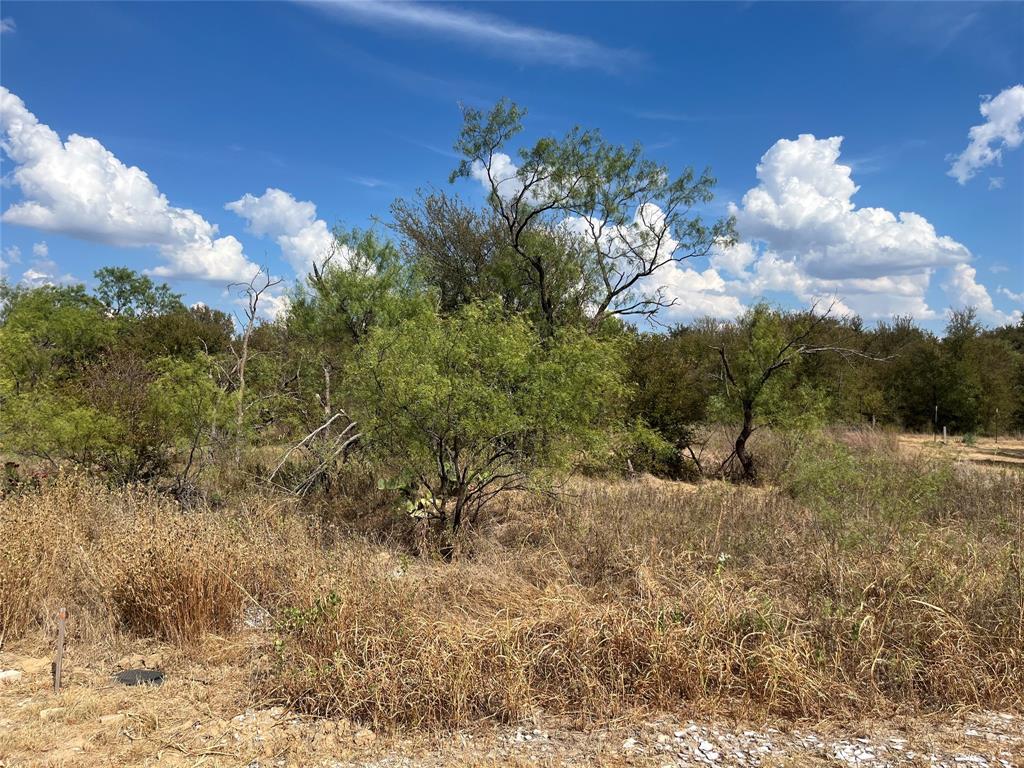 Lot 65 Blk 7 Ringo Court - Photo 2