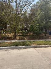 3512 Abilene Street - Photo 3