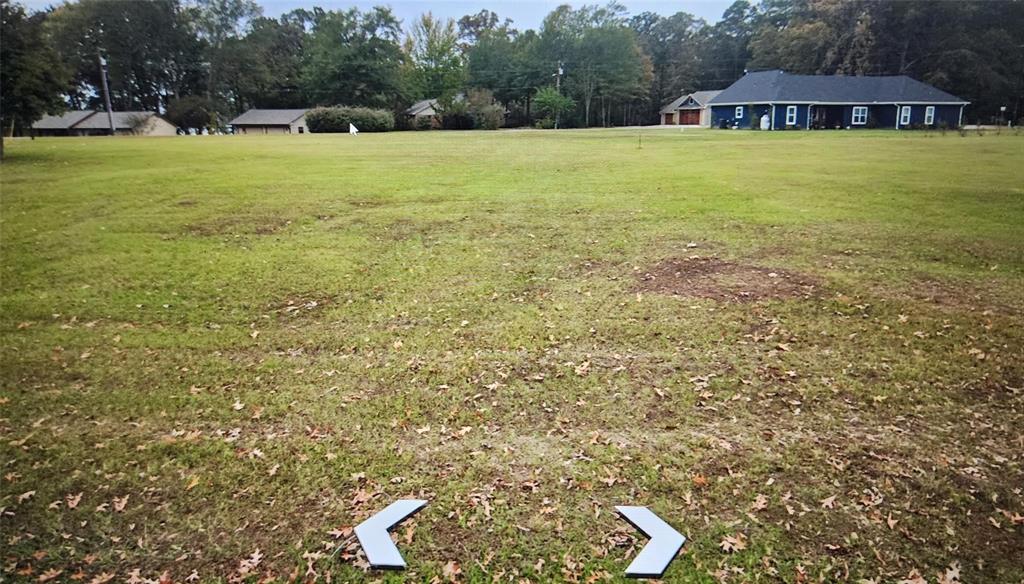 LOT 50 HOPES LANDING - Photo 3