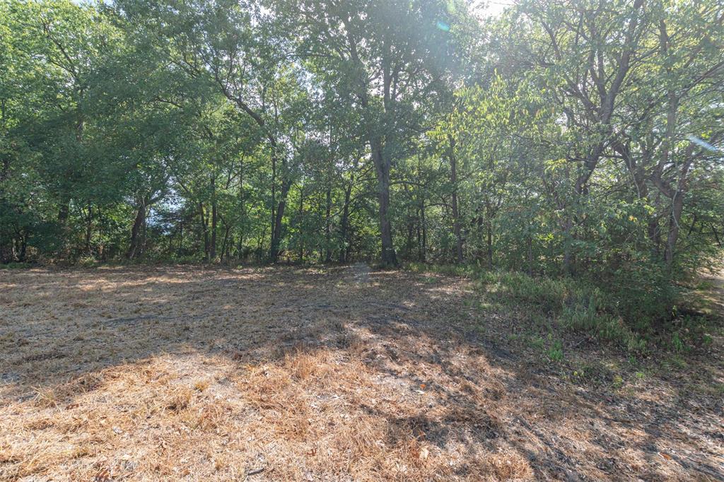 TBD County Road 3226 - Photo 10