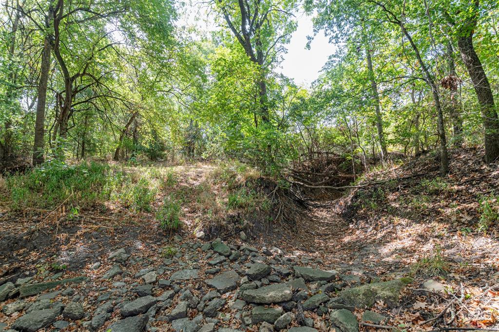 TBD County Road 3226 - Photo 11