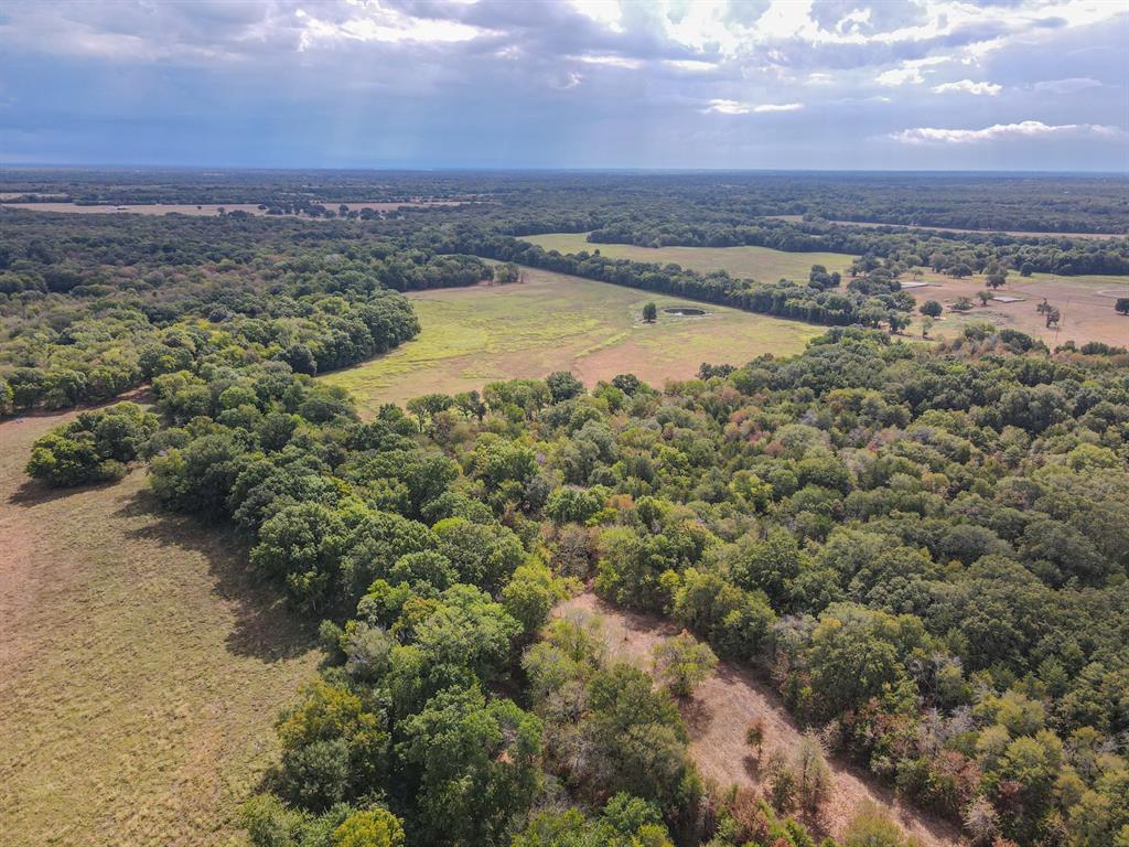 TBD County Road 3226 - Photo 14
