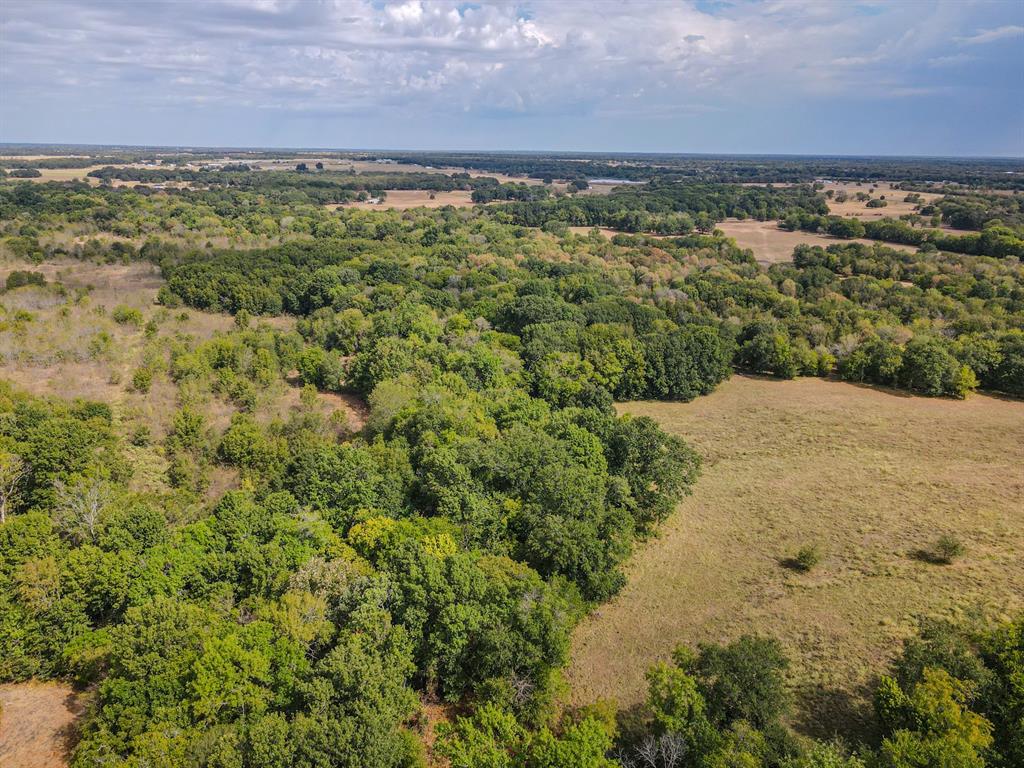 TBD County Road 3226 - Photo 17