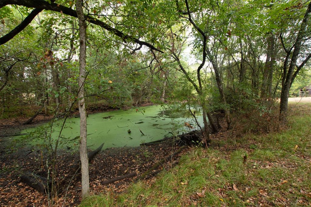 TBD County Road 3226 - Photo 4