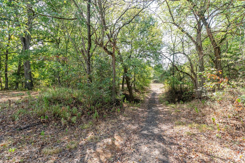 TBD County Road 3226 - Photo 9