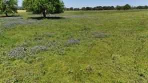 2031 County Road 3310 - Photo 11