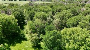 2031 County Road 3310 - Photo 2