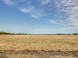 3133 County Road 4301 - Photo 3