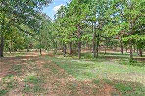 516 Willingham Road - Photo 11
