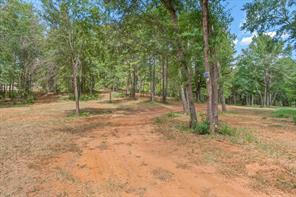 516 Willingham Road - Photo 13