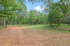 516 Willingham Road - Photo 15