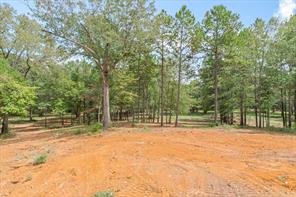 516 Willingham Road - Photo 16